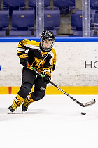 Klik for at se eller bestil foto