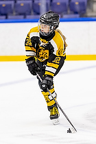 Klik for at se eller bestil foto