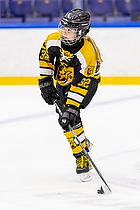 Klik for at se eller bestil foto