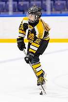 Klik for at se eller bestil foto