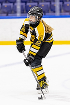 Klik for at se eller bestil foto