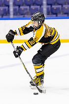 Klik for at se eller bestil foto