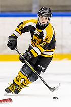 Klik for at se eller bestil foto