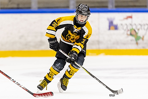 Klik for at se eller bestil foto