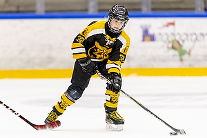 Klik for at se eller bestil foto