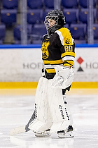 Klik for at se eller bestil foto