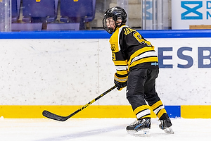 Klik for at se eller bestil foto