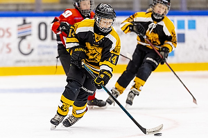 Klik for at se eller bestil foto