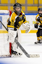 Klik for at se eller bestil foto