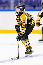 Klik for at se eller bestil foto