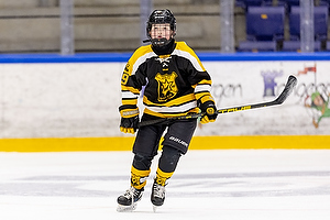 Klik for at se eller bestil foto