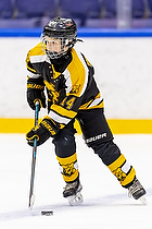 Klik for at se eller bestil foto