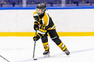 Klik for at se eller bestil foto