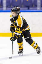 Klik for at se eller bestil foto