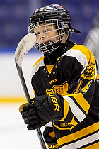 Klik for at se eller bestil foto