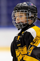 Klik for at se eller bestil foto