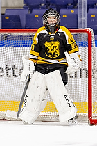 Klik for at se eller bestil foto