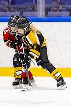 Klik for at se eller bestil foto