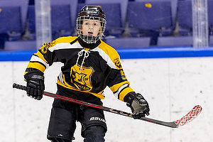 Klik for at se eller bestil foto