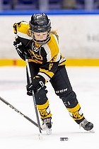 Klik for at se eller bestil foto