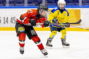 Klik for at se eller bestil foto