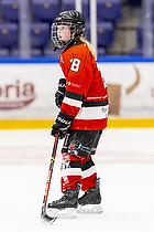 Klik for at se eller bestil foto