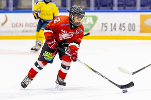 Klik for at se eller bestil foto