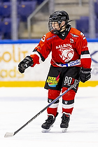 Klik for at se eller bestil foto