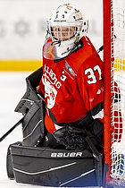 Klik for at se eller bestil foto