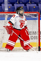 Klik for at se eller bestil foto