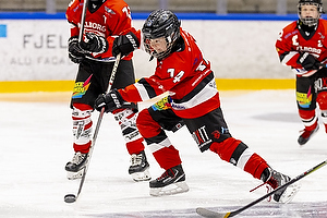 Klik for at se eller bestil foto