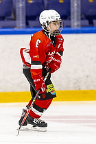 Klik for at se eller bestil foto