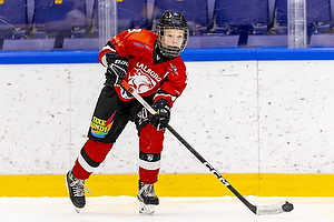 Klik for at se eller bestil foto