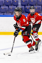 Klik for at se eller bestil foto