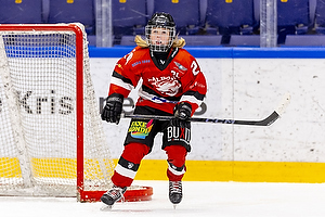 Klik for at se eller bestil foto