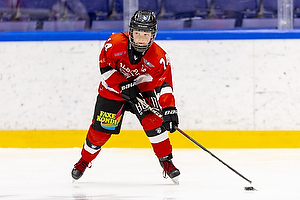 Klik for at se eller bestil foto