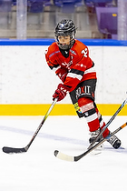 Klik for at se eller bestil foto