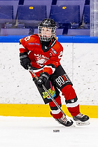 Klik for at se eller bestil foto