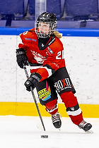 Klik for at se eller bestil foto