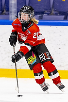 Klik for at se eller bestil foto