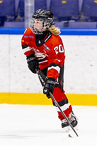 Klik for at se eller bestil foto