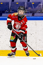 Klik for at se eller bestil foto