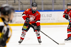 Klik for at se eller bestil foto