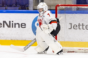 Klik for at se eller bestil foto