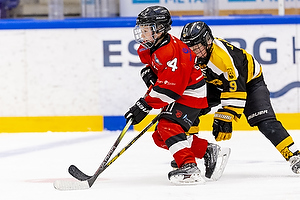 Klik for at se eller bestil foto