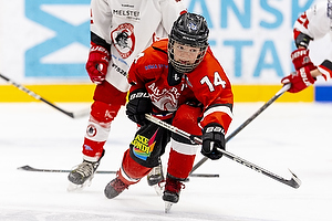 Klik for at se eller bestil foto