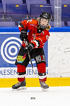 Klik for at se eller bestil foto