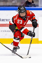 Klik for at se eller bestil foto