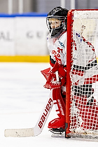 Klik for at se eller bestil foto