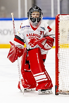 Klik for at se eller bestil foto